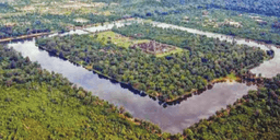 placeholder image to represent content