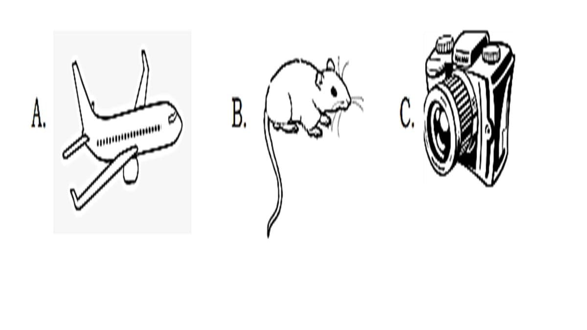Question Image