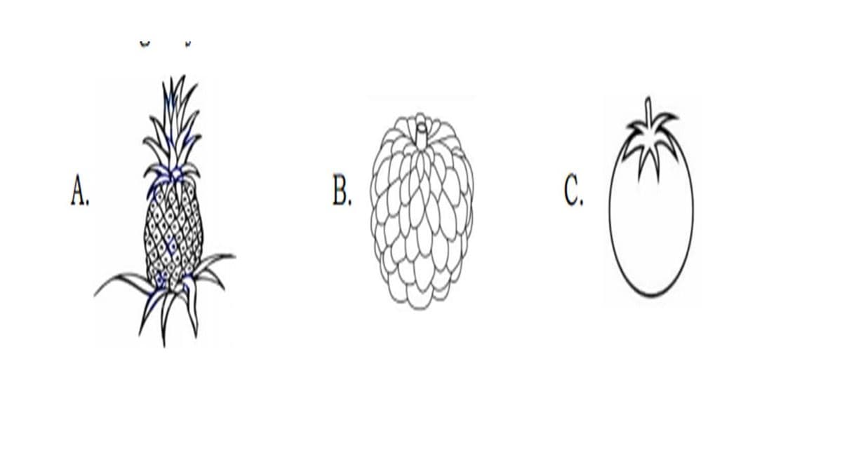 Question Image