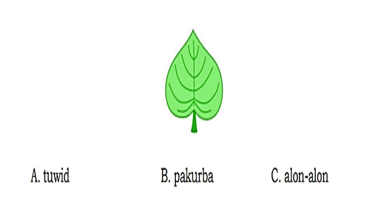 Question Image