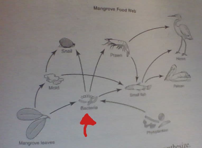 Question Image