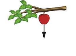 placeholder image to represent content