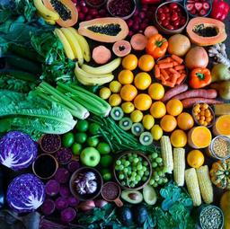 placeholder image to represent content