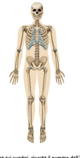 placeholder image to represent content