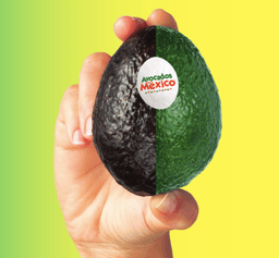 placeholder image to represent content