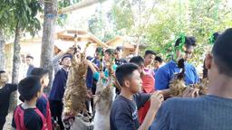 placeholder image to represent content