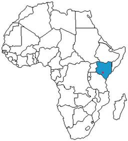 placeholder image to represent content