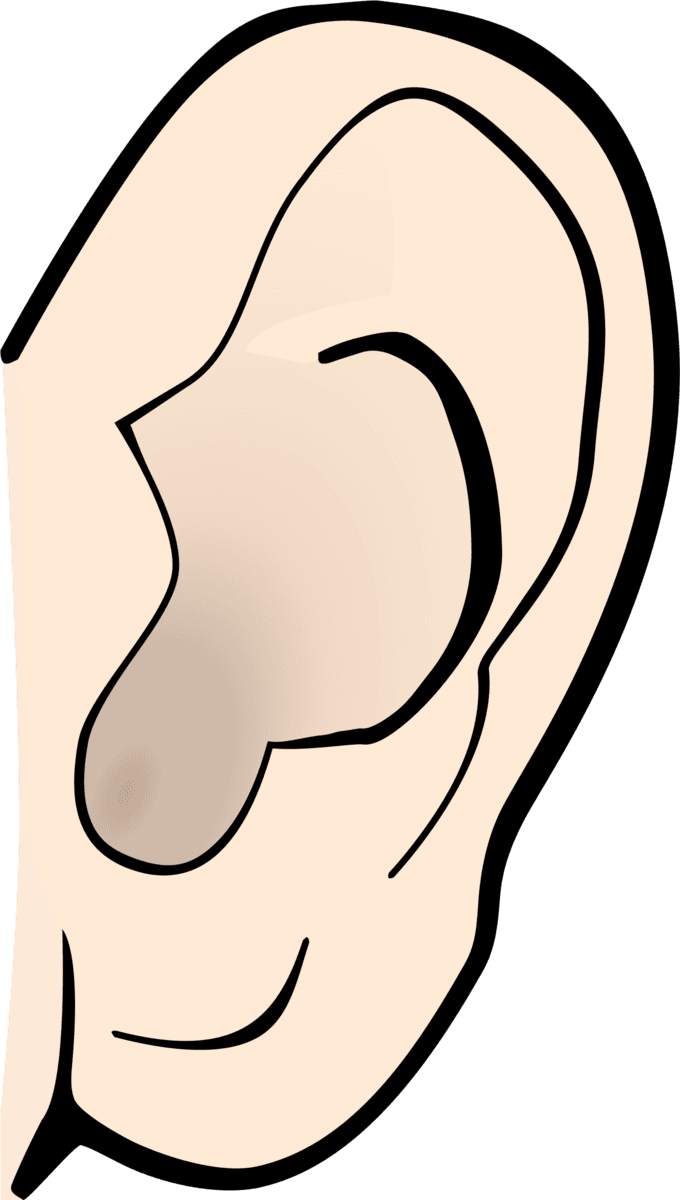 Answer Image
