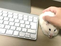 placeholder image to represent content