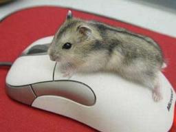 placeholder image to represent content