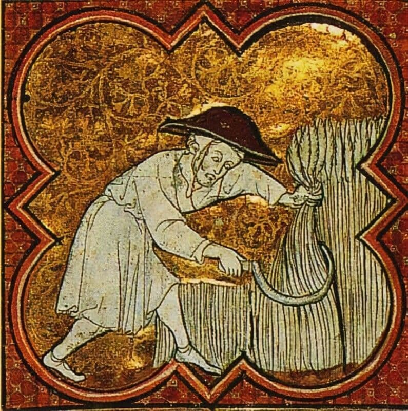 Question Image