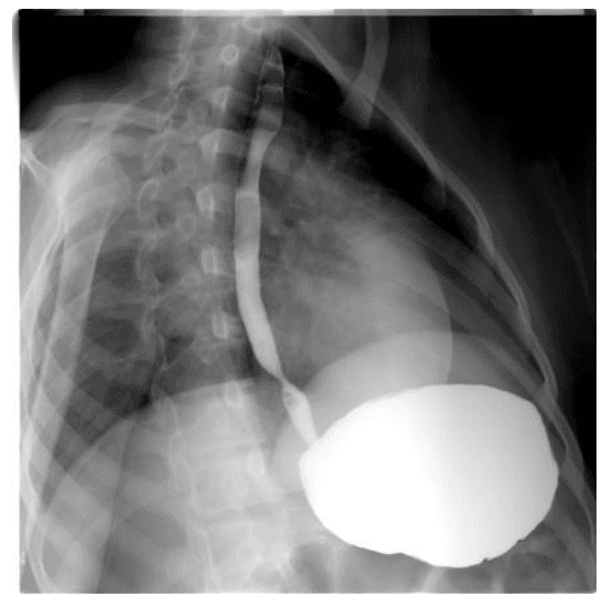 Question Image