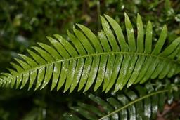 placeholder image to represent content