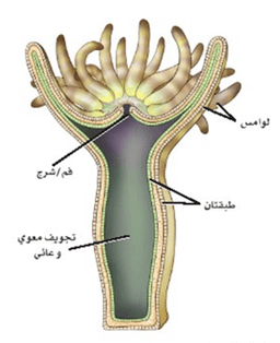 placeholder image to represent content