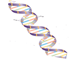 placeholder image to represent content