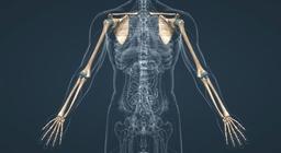 placeholder image to represent content