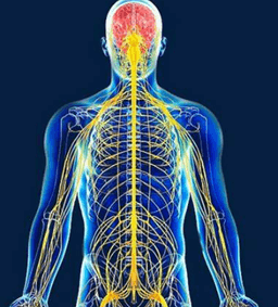 placeholder image to represent content