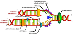 placeholder image to represent content