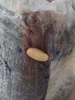 Answer Image
