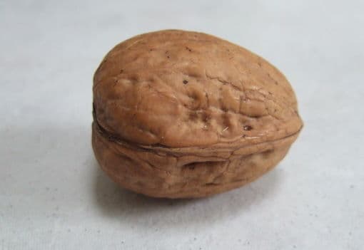Answer Image