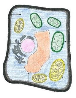 placeholder image to represent content