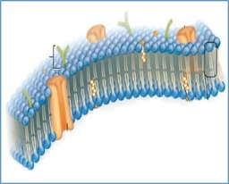 placeholder image to represent content
