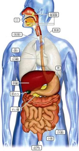 placeholder image to represent content