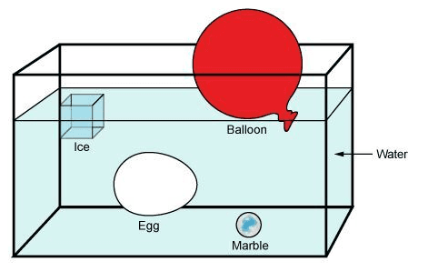 Question Image