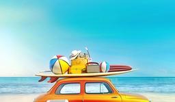 placeholder image to represent content