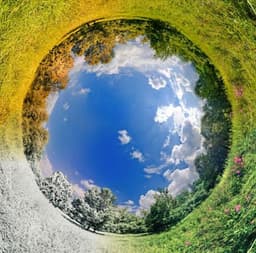 placeholder image to represent content