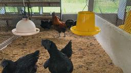 placeholder image to represent content