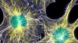 placeholder image to represent content