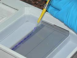 placeholder image to represent content