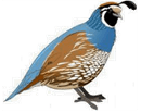 Answer Image