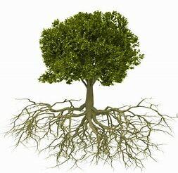 placeholder image to represent content