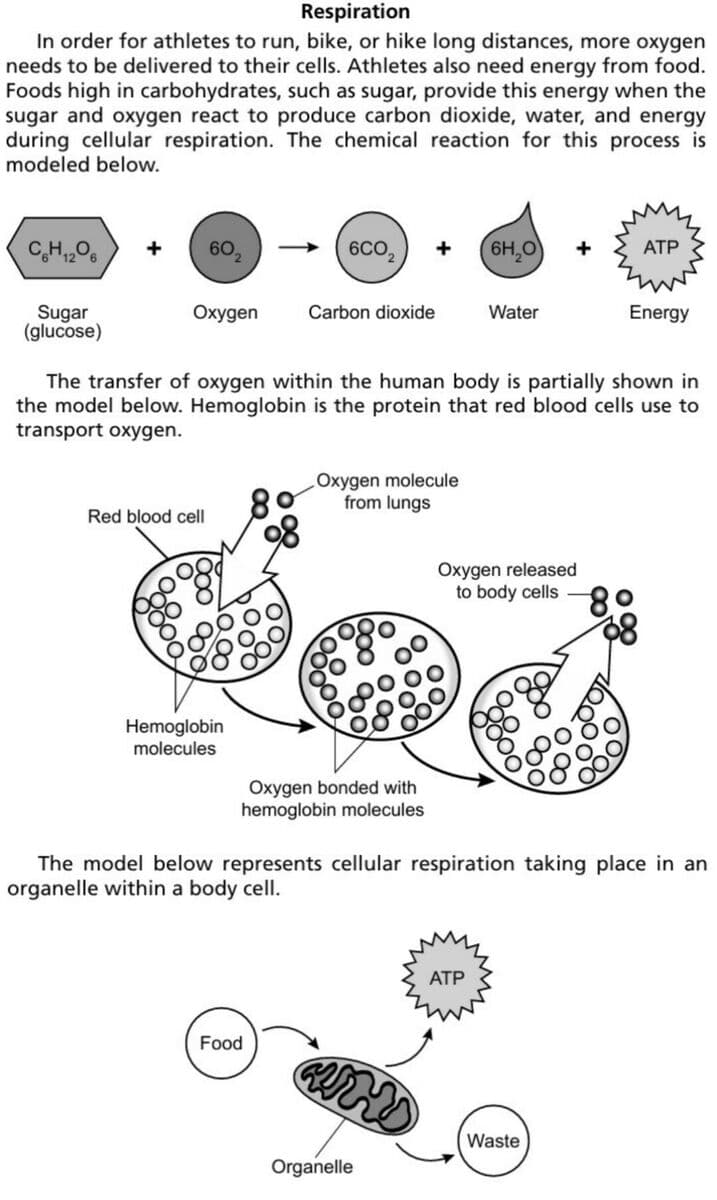 Question Image
