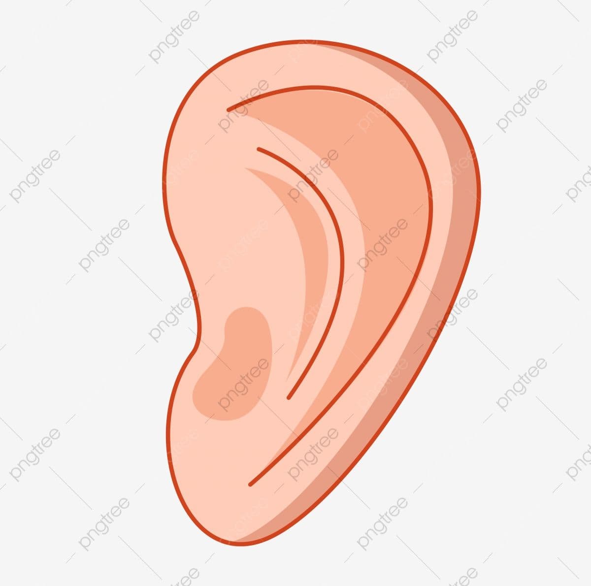 Answer Image