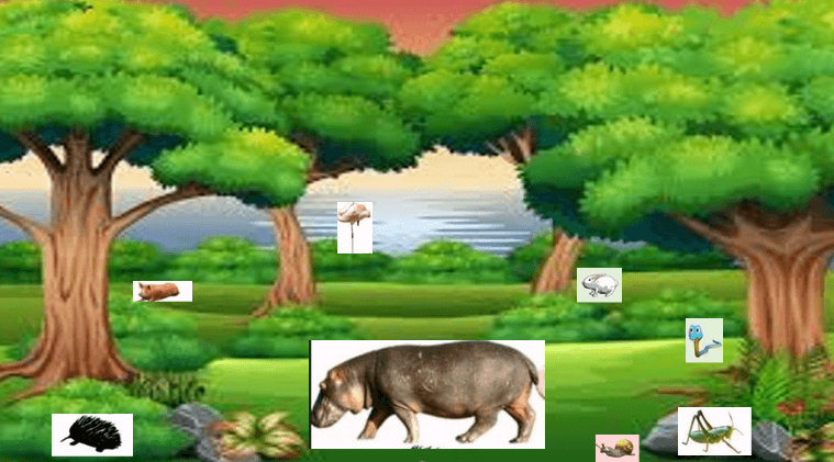 Question Image