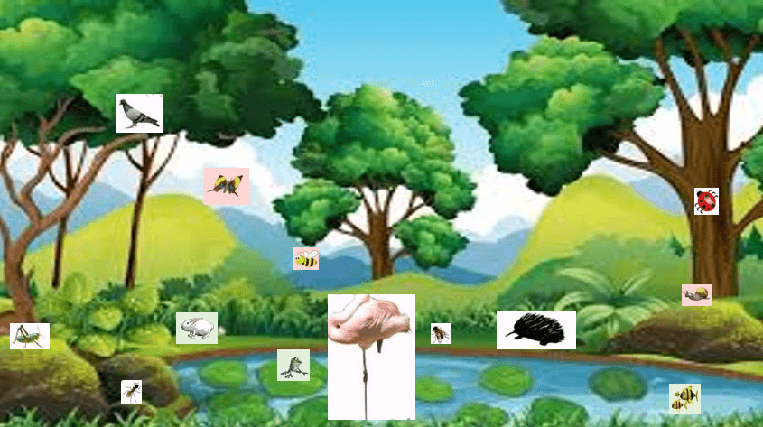Question Image
