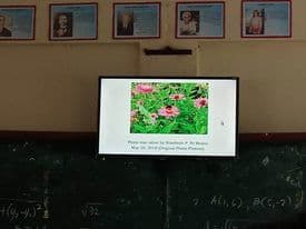Question Image