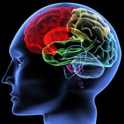 placeholder image to represent content