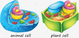 placeholder image to represent content