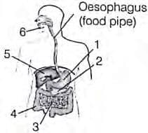 Question Image