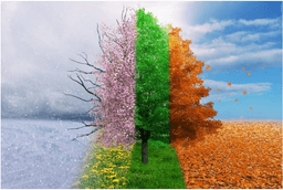 placeholder image to represent content