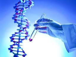 placeholder image to represent content