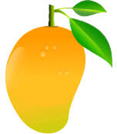 Answer Image