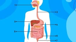 placeholder image to represent content