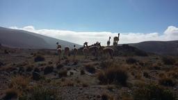 placeholder image to represent content