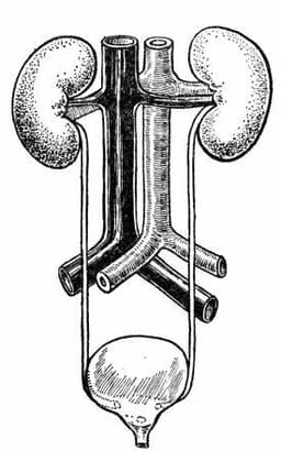 placeholder image to represent content