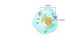 placeholder image to represent content